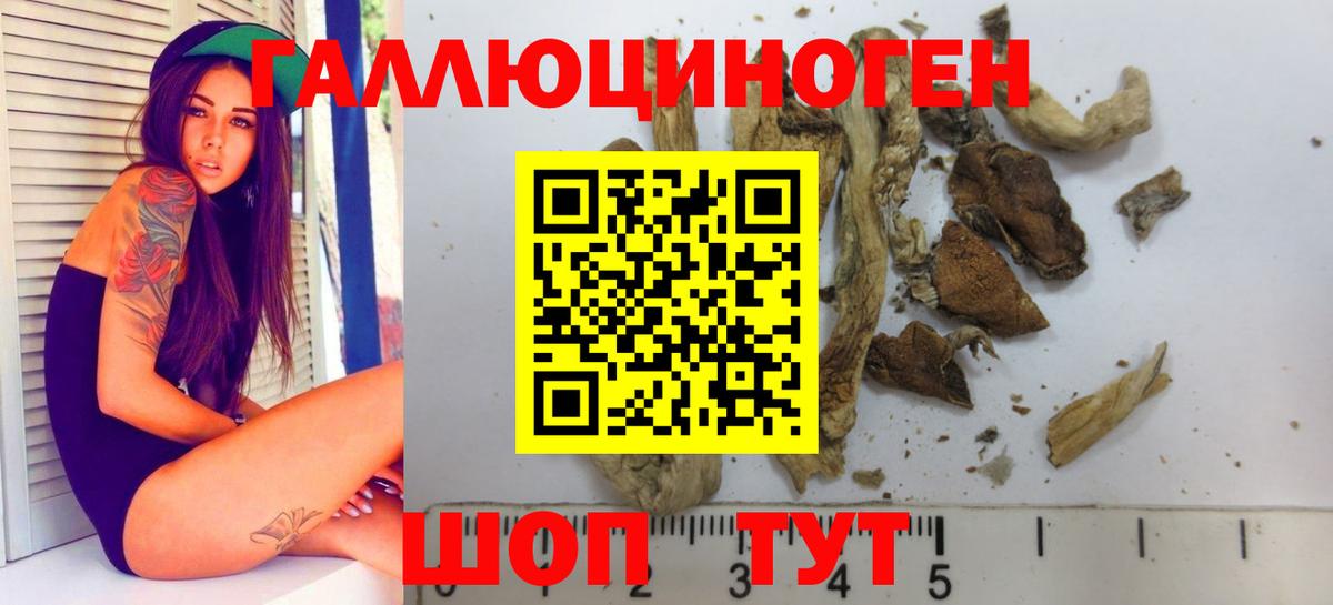 Псилоцибиновые грибы Psilocybe  Вход с VPN  Прокопьевск  Галлюциногенные грибы прущие грибы 